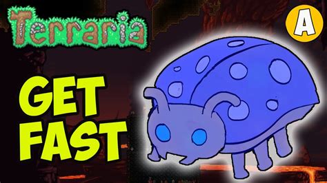 ladybug terraria|terraria how to get ladybugs spawn.